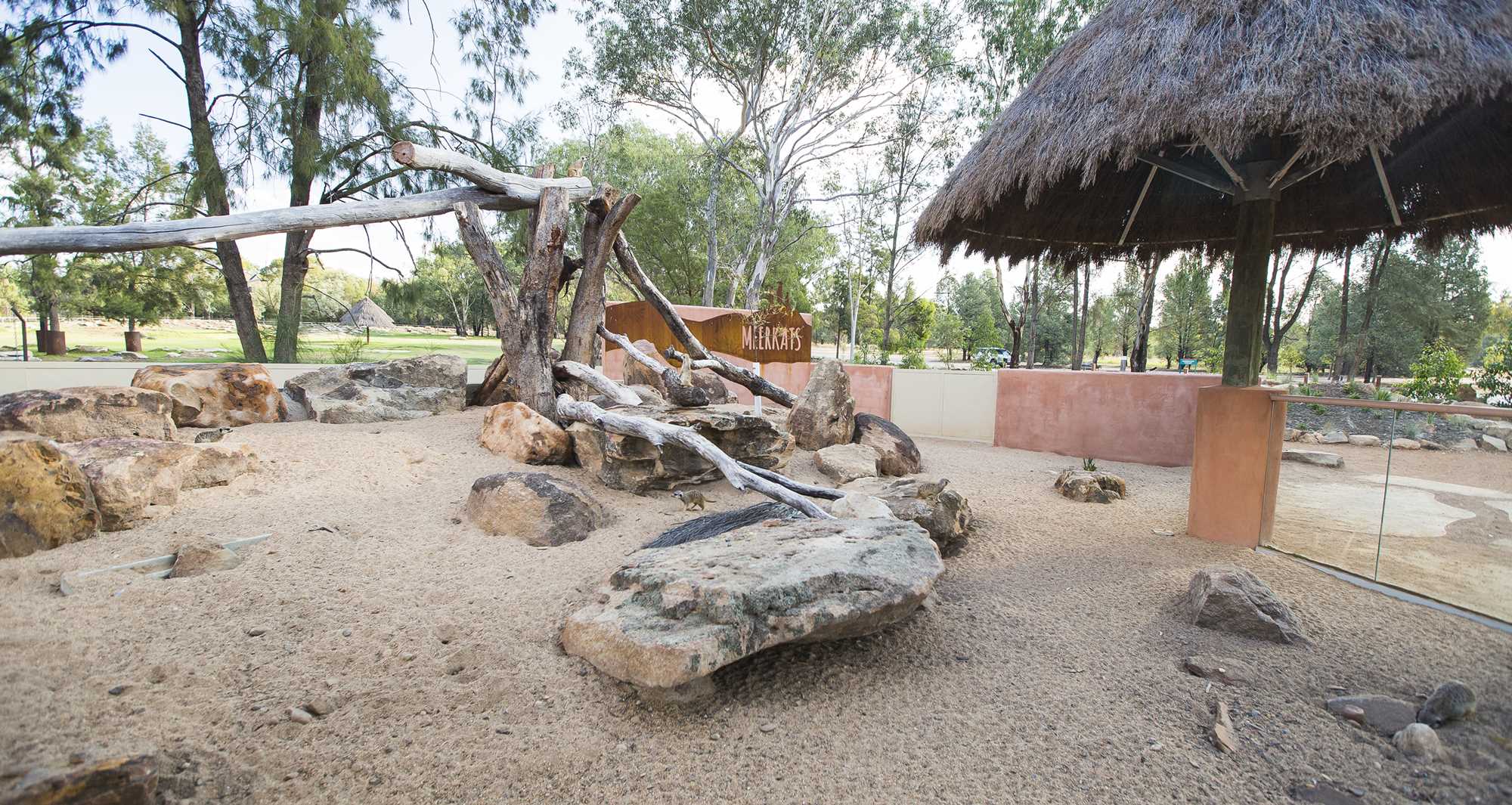 Meerkat Enclosure Taronga Western Plains Zoo