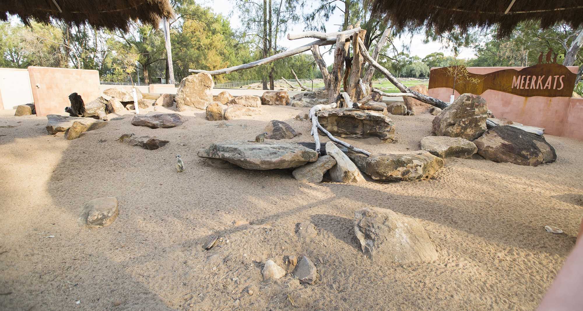Meerkat Enclosure Taronga Western Plains Zoo